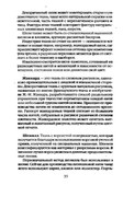 Shyem-shtory-i-podushki-Darya-Kostina-35