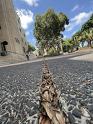 C87F963D-69B0-4508-AE7E-3D79E14954ED