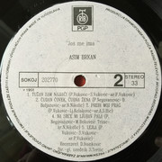 Asim Brkan - Diskografija Asim-Brkan-1991-s-B
