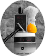 SOTD20240507_Trésor1