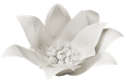 Winter-White-Elements-204