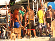 Teknival 2018  (122)