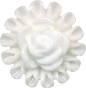 Winter-White-Elements-5
