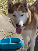 CF8BB19D-3EC3-4E4D-AEB4-D27CCC3910E2