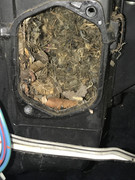 EBDA3EFC-92DF-43E9-A26E-CDF35F7FDC10