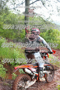 IMG-0337