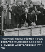 https://i.postimg.cc/9DwYhWFX/photo-2026-05-26-01-47-01.jpg