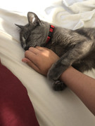 D66A418B-05CE-4A0F-B574-3DB6070380B0