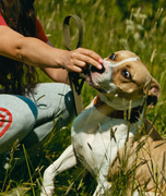 Screenshot_20230627_234324_Gallery