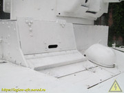 IMG-7742