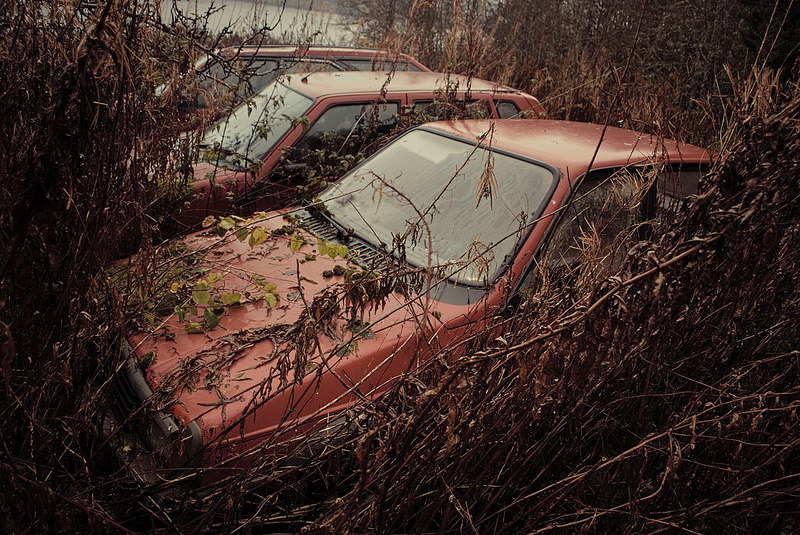 Found in Scotland 15854570885_9ba9f2b02c_c