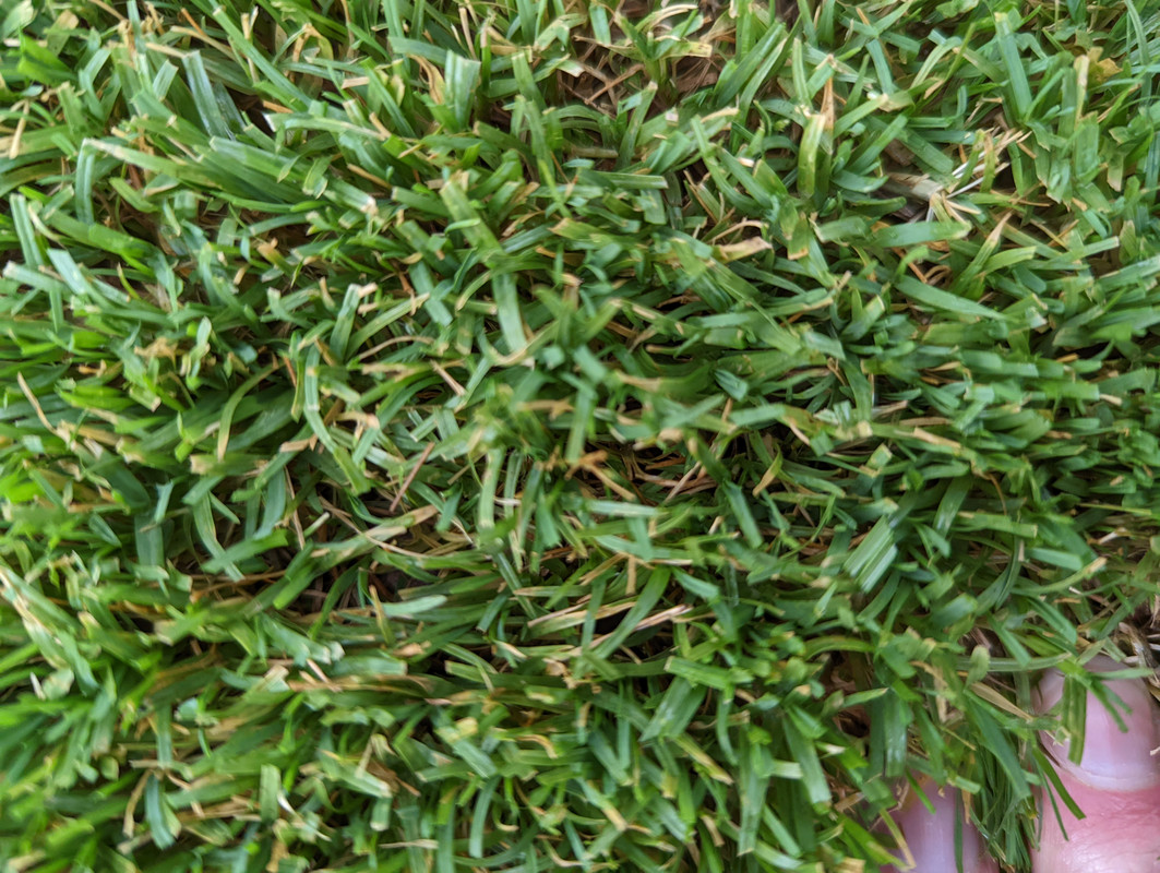 PXL_20220521_213407315