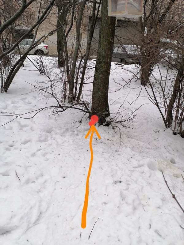 IMG 20260121 105549 990