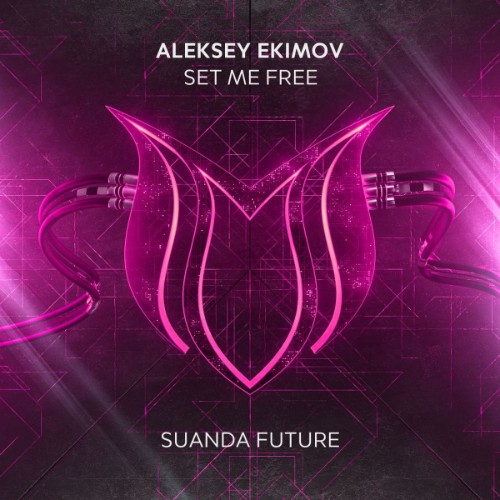 00aleksey ekimov set me free web 2026 falcon