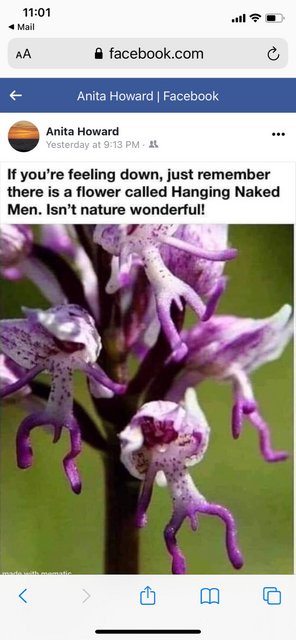 [Image: IMG-6513.jpg]