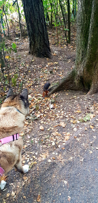 D5D88784-86E2-4B39-955C-015637ADFB0B