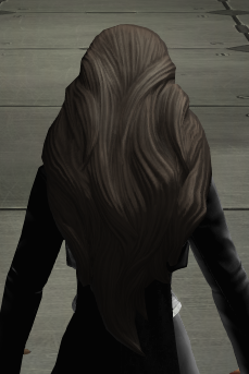 Ferris Heiress Hairstyle - Back