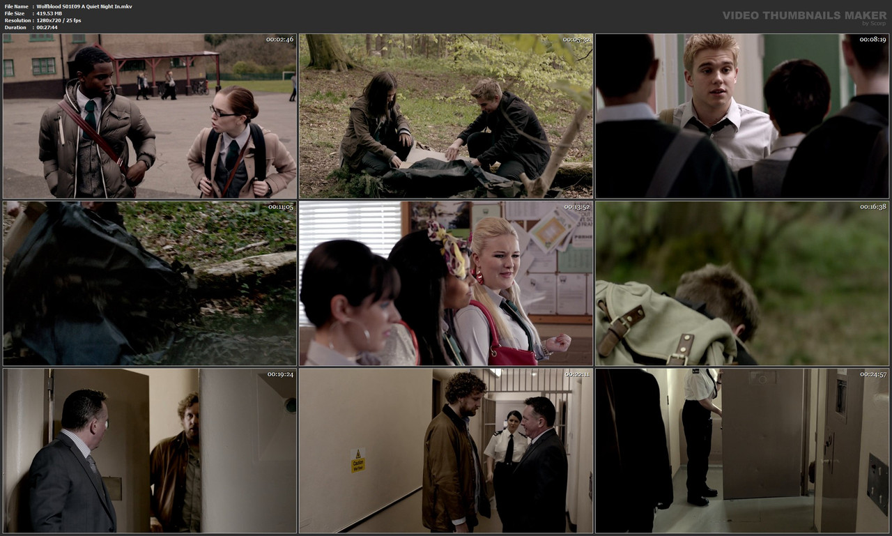 Wolfblood S01E09 A Quiet Night In.mkv