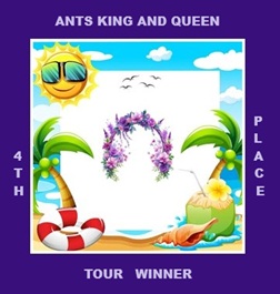ants knq 4th