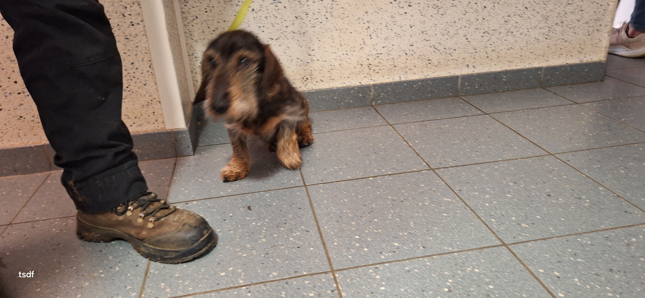 [Image: 20250117-173937.jpg]