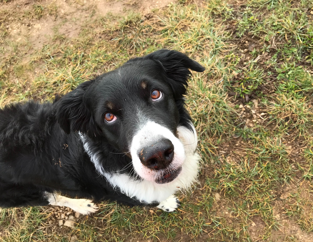 7761516E-F8A6-4A21-A63C-180D3CFB6B85