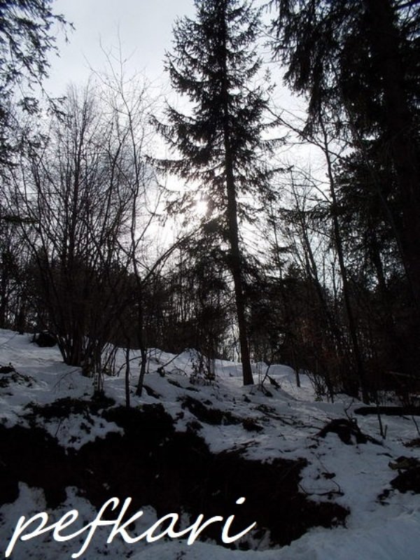Slika