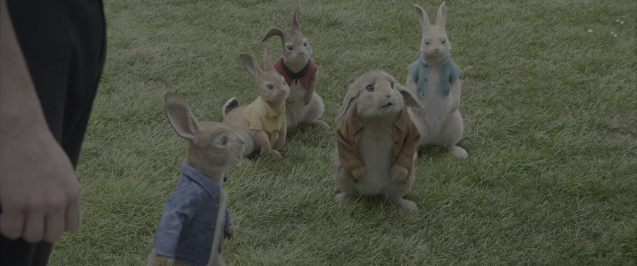 Peter Rabbit (2018) [BluRay Rip 2160p HEVC 10bit-HDR ITA-ENG DTS