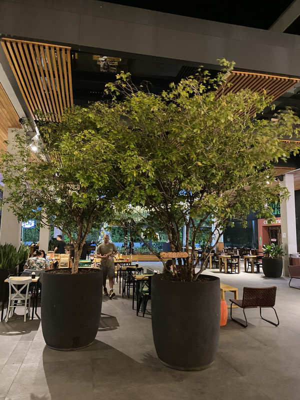 C8E3D900-D297-4424-B665-8B730579F265