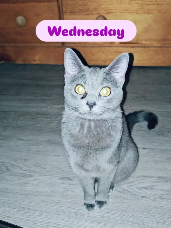 IMG 20260129 193336 246