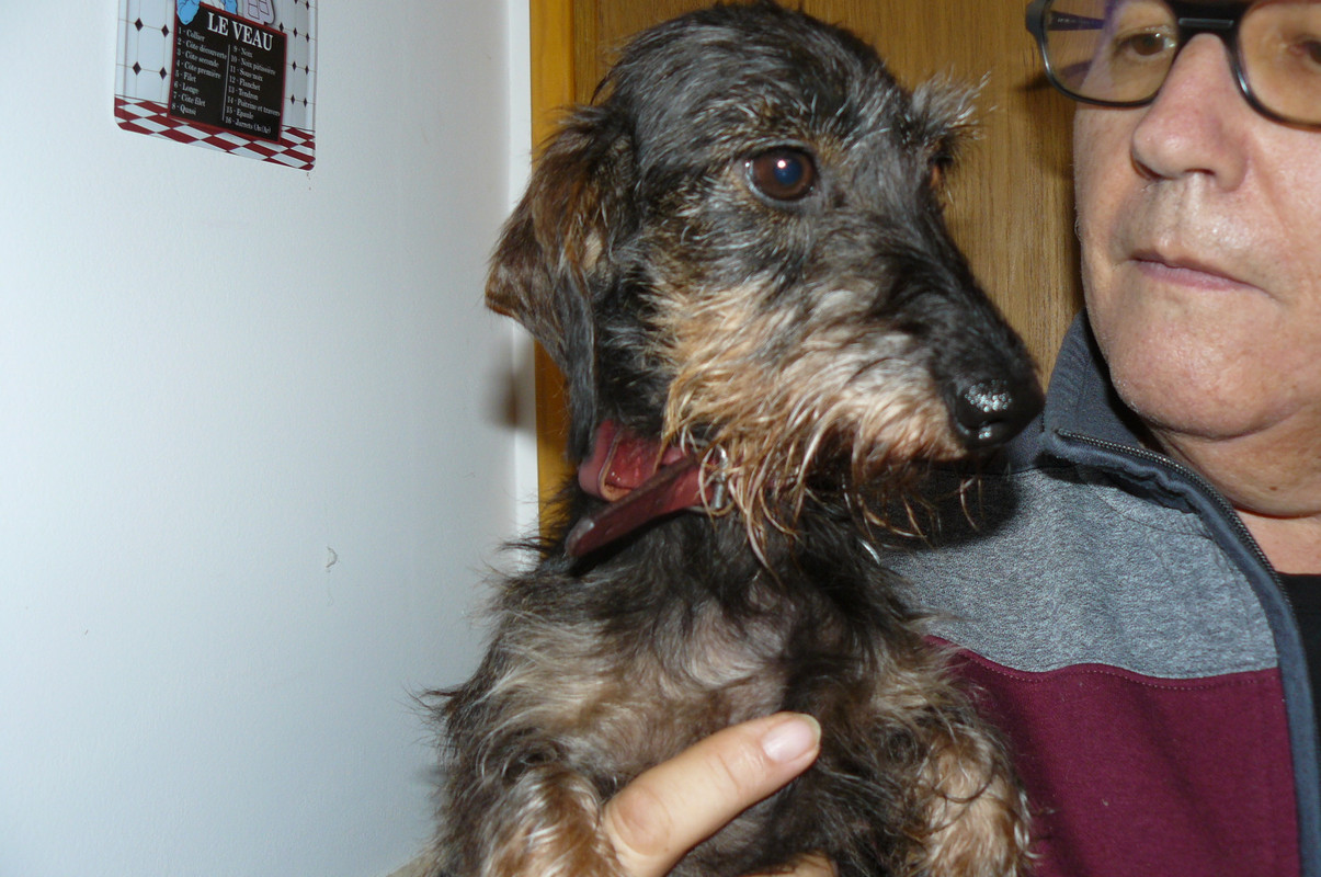 [Image: P1240643.jpg]