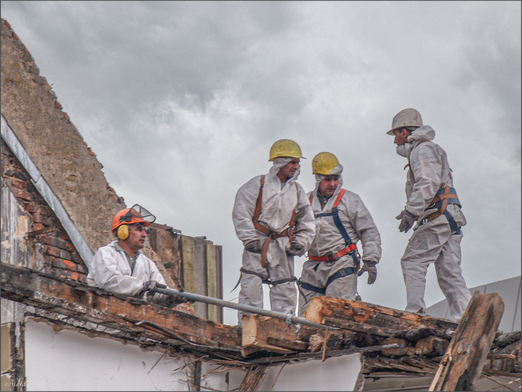 P4299190-Bearbeitet 2008 Diverse LR ERWZ FB