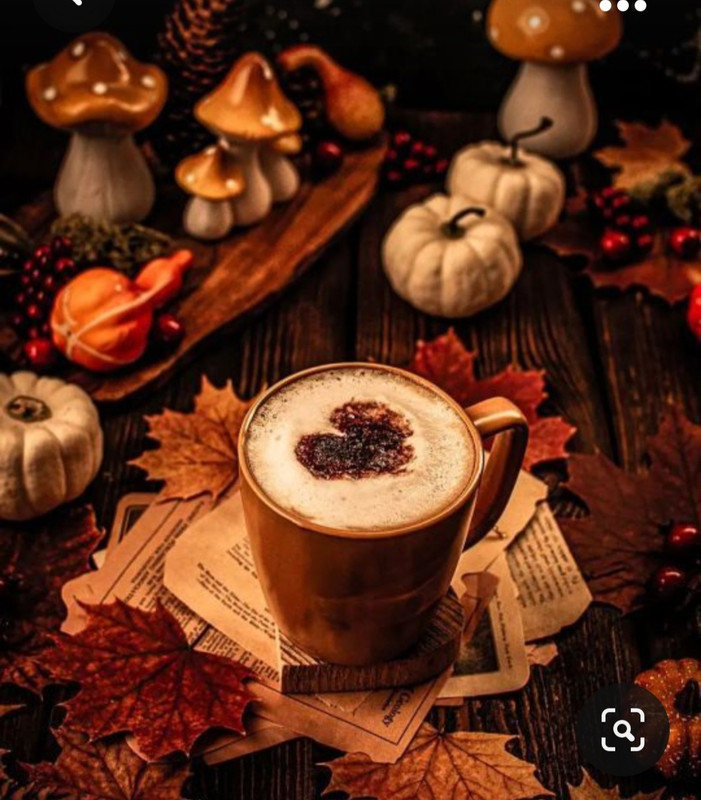 Screenshot_20231015_211153_Pinterest