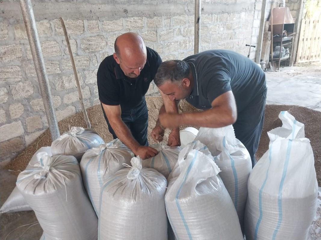 WhatsApp Image 2024-06-27 at 20.34.39 (2)