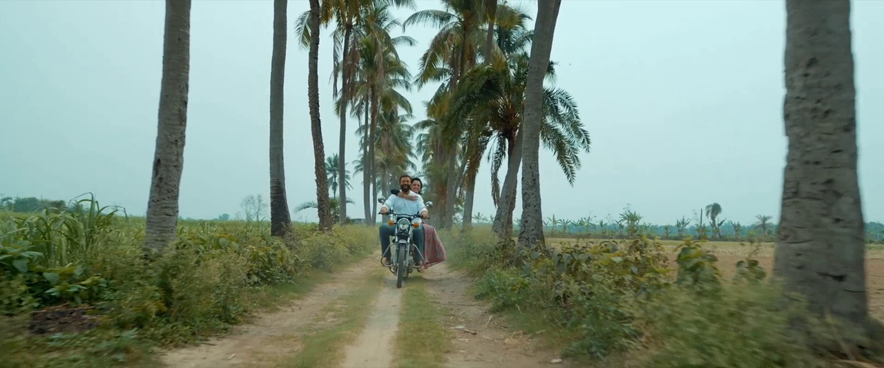 vlcsnap-2025-08-11-17h42m28s124