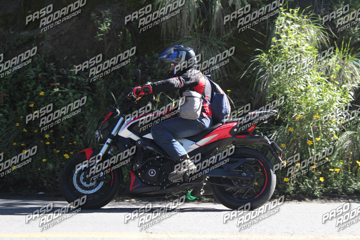 IMG 3745 wm 1477772 watermarked — Postimages