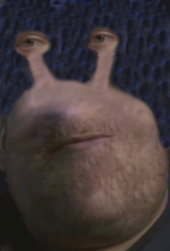 drachenlordmettfresse.jpg