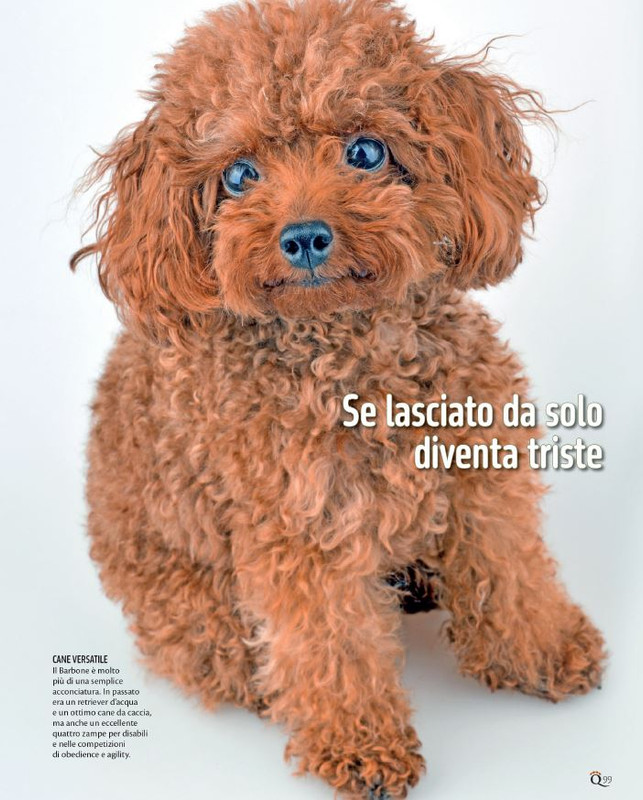 QuattroZampe Feb 2024 (8)