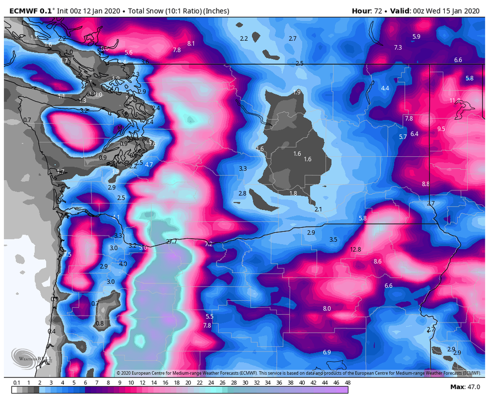 ecmwf-deterministic-washington-total-sno