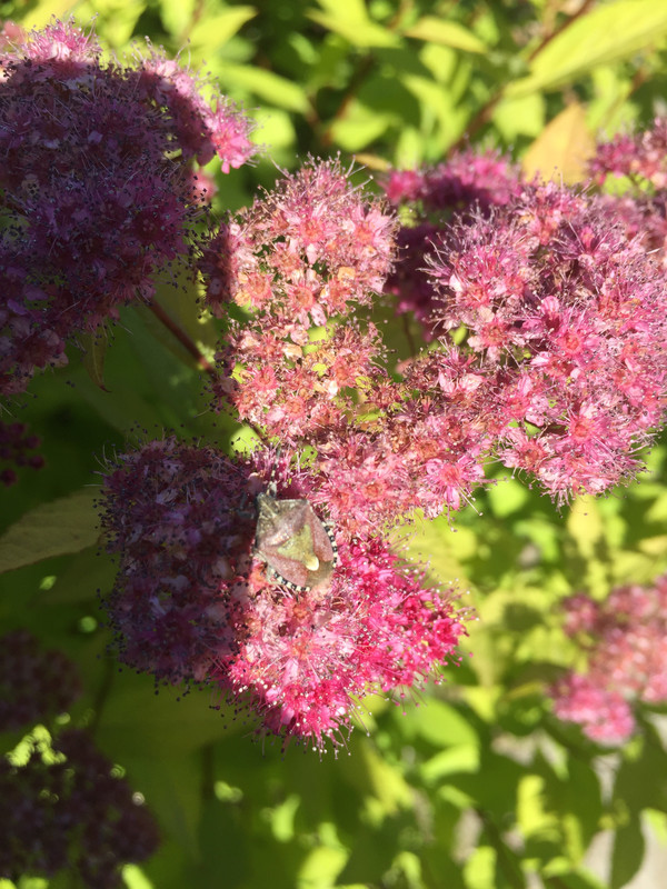 A292B139-844C-4F33-BAE3-9DC0E335DEA9