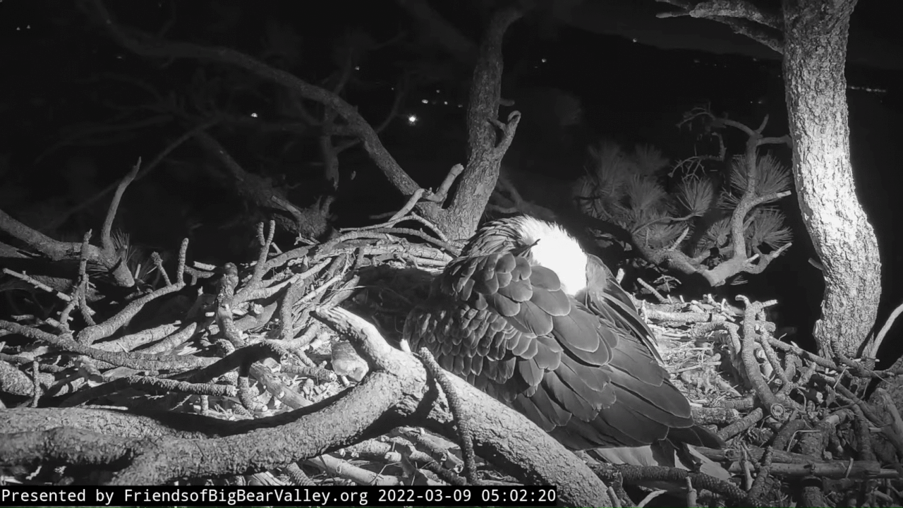 Webp.net-gifmaker (1)