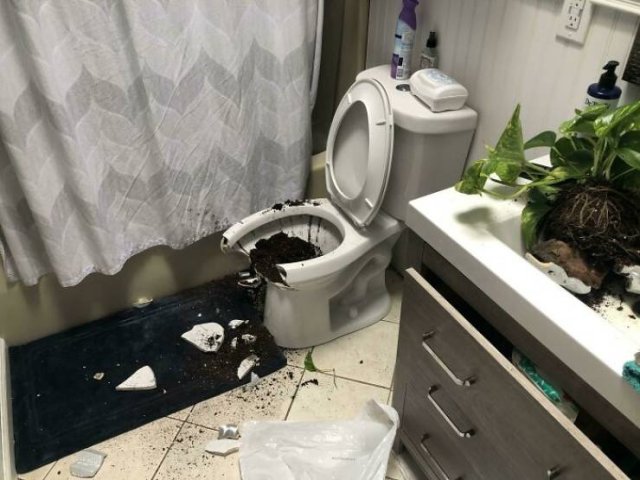 Fails-11