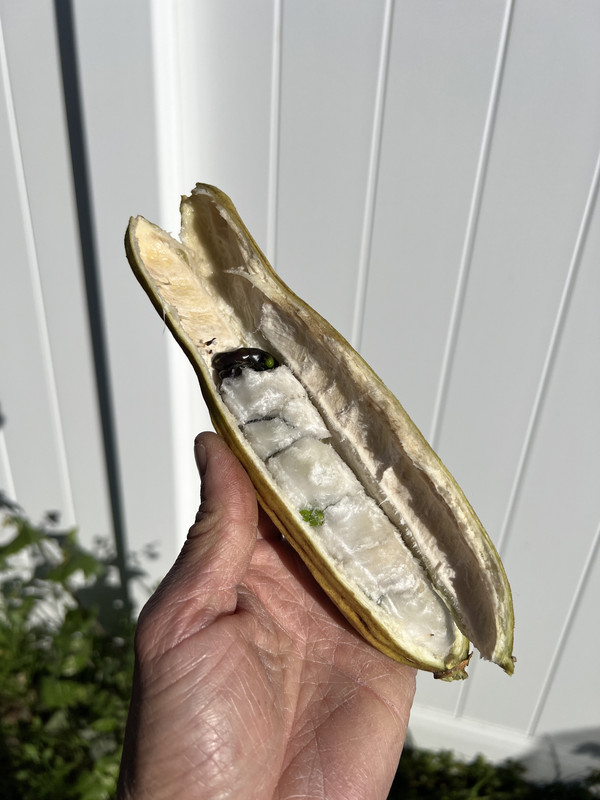 40A893CD-1E58-435A-8913-8BF0F04CD39C