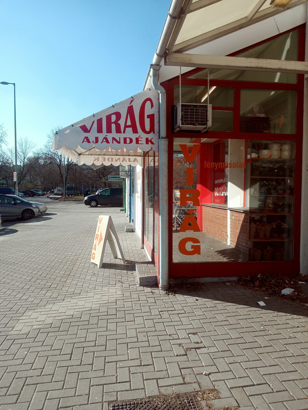Kép