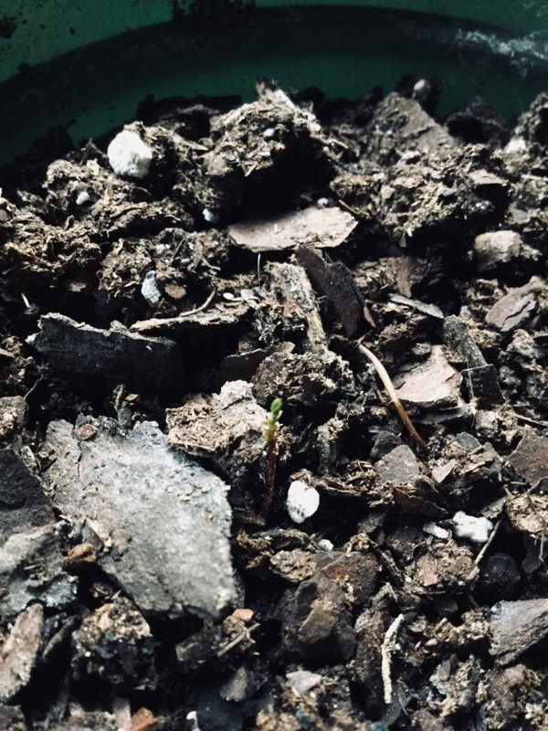 66297775-4806-4903-8433-761AB7AEE574