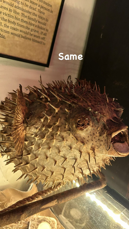 F10CC061-8939-41D3-973D-7FB6A5B51B58