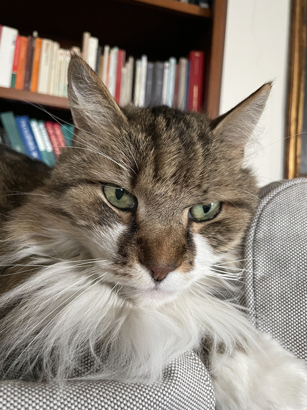 70135F8E-72E6-4AD6-9399-6E4439523D32