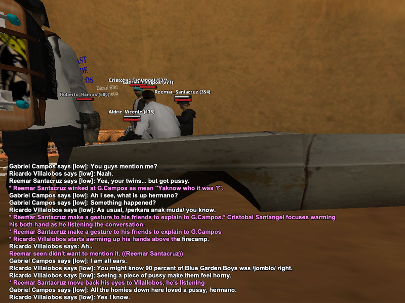 ss13.png