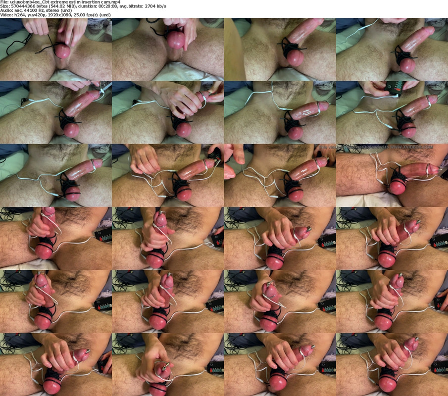 13052024133810screenshot