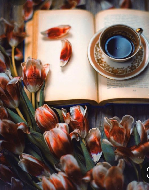 Screenshot_20230316_022929_Pinterest