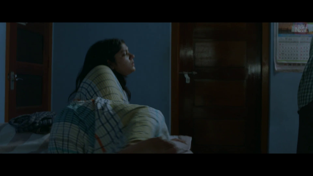 vlcsnap 2026 02 11 15h27m35s266